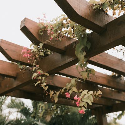 Home gardnen pergola